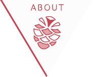 ABOUT